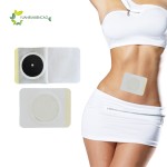 Sliming Magnet Patch Supplier - Fast Acting Multi-Symptom Relief 30 Pcs Box