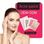 Acne Healing Patch Supplier - Hydrocolloid Tea Tree Oil Covering Zits Blemishes