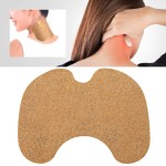 Herbal Pain Relief Patch Supplier - New Product Ginger Capsaicin Hot Plaster