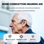 Hearing Aids Supplier - Wholesale Premium Rechargeable Noise Cancelling for Seniors