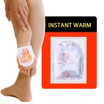 Ginger Detox Foot Patch Supplier - OEM Free Sample Improve Sleeping Remove Toxins