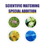 Sleep Support Patches Manufacturer - Natural Herbal Extracts Good Sleep Melatonin