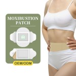Muscle Pain Relief Patch Supplier - Wormwood Plaster Hot Selling Chinese Herb