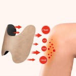 Herbal Pain Relief Patch Supplier - New Product Ginger Capsaicin Hot Plaster