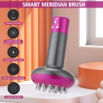Microcurrent Massager Manufacturer - Vibration Heating Therapy Brush