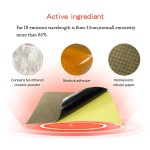 Body Pain Relief Patch Supplier - Herbal Supplements Muscle Fatigue Joint Neck Back