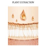 Slimming Patch Supplier - Customized Fat Burning Belly Button Direct From Manufacturer