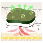 Wormwood Foot Plaster Supplier - Hot Trending OEM ODM Ginger Anti-Fatigue Herbs