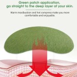 Chinese Herbal Plaster Manufacturer - Custom Private Label Natural Extract Heating