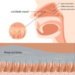 Nasal Spray Manufacturer - Custom Logo Gentle Physiological Clear Mucus Soothing