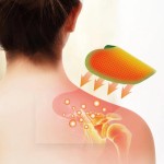 Wormwood Heat Patches Supplier - 2025 New Product OEM ODM for Neck Shoulders Body