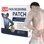 Lumbar Spine Support Manufacturer - Customizable Chinese Herbal Wormwood Analgesic