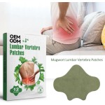 Body Patches Manufacturer - Optimal Relief with Mild Heat Wormwood Extract Herbal