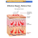 Sports Cream Manufacturer - 2025 Factory Direct Lumbar Leg Strain Joint Pain Relief