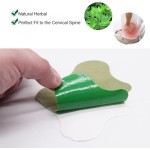 Body Patches Manufacturer - Optimal Relief with Mild Heat Wormwood Extract Herbal