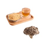 Maitake Powder Factory - Pure Herbal Mushroom Extract