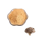 Maitake Powder Factory - Pure Herbal Mushroom Extract