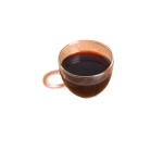 Chaga Mushroom Powder Manufacturer - Herbal Extract Supplement