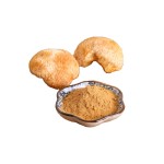 Hericium Extract Manufacturer - Lions Mane Mushroom Powder
