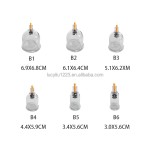 Plastic Cupping Cups Supplier - Vacuum Therapy Cellulite Massager