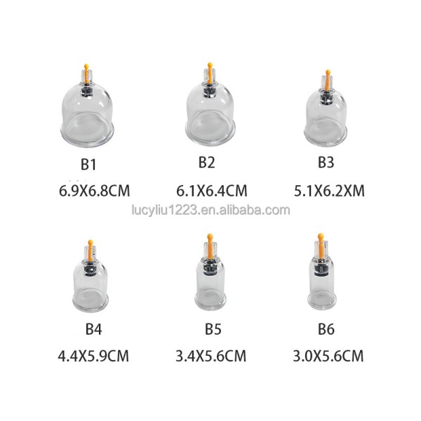 Plastic Cupping Cups Supplier - Vacuum Therapy Cellulite Massager