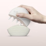 Electric Hair Comb Supplier - Jade Red Light Growth Massager