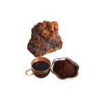 Chaga Mushroom Powder Manufacturer - Herbal Extract Supplement