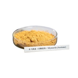 Silymarin Powder Supplier - Pure Herbal Dietary Supplement