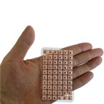 Ear Seeds Supplier - Vaccaria 600 Counts Acupressure Kit