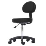 Swivel Stool Manufacturer - Height Adjustable Back Support Chair