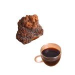 Chaga Mushroom Powder Manufacturer - Herbal Extract Supplement