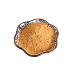 Hericium Extract Manufacturer - Lions Mane Mushroom Powder