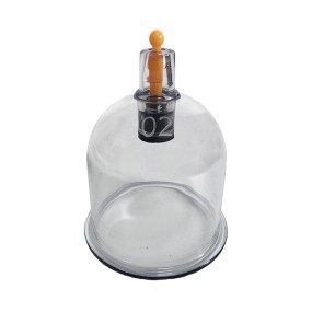 Cupping Cups Supplier - B2 Model Vacuum Suction Bulk