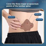 Wormwood Lumbar Paste Factory - Baiyunshan Star Group Genuine Factory Wholesale Joint Knee