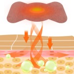 Ai Qi Belly Patch Factory - Best-selling Slimming Shaping Double-layer Herbal Formula Waist