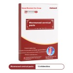 Wormwood Lumbar Paste Factory - Baiyunshan Star Group Genuine Factory Wholesale Joint Knee