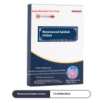 Wormwood Lumbar Paste Factory - Baiyunshan Star Group Genuine Factory Wholesale Joint Knee