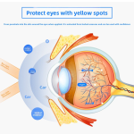 Bilberry Lutein Eye Patch Factory - Nanjing Tongrentang Cold Compress Protection Eye Fatigue