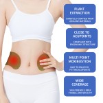 Mugwort Waist Patch Factory - Baiyunshan Xingqun Hot Sale Moisture Removal Lazy Herbal Moxibustion