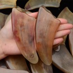 Horn Scalp Massager Factory - Natural Horn Facial SPA