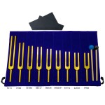 Medical Tuning Fork Manufacturer - Aluminum Alloy 8pcs Set