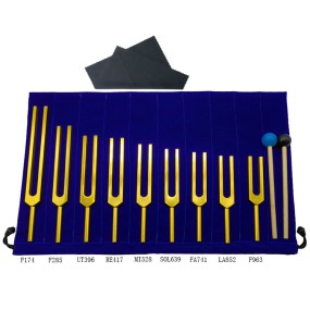 Medical Tuning Fork Manufacturer - Aluminum Alloy 8pcs Set