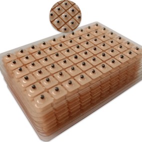 Ear Seeds Manufacturer - Vaccaria Seeds Plaster 600 Pcs