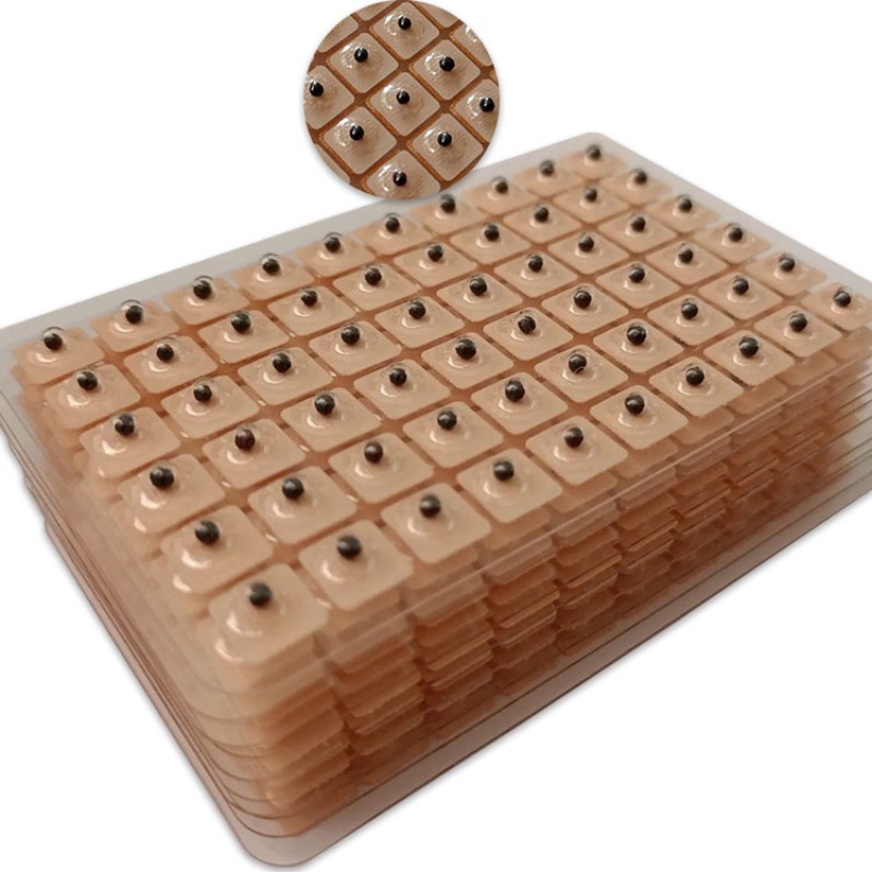 Ear Seeds Manufacturer - Vaccaria Seeds Plaster 600 Pcs