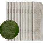 Acu Ear Patches Factory - Multi-Function Ear Seeds