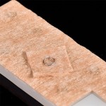 Auricular Needles Manufacturer - Disposable Acupuncture Press