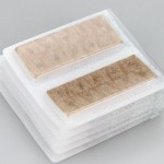 Acupressure Needles Supplier - Stainless Steel Ear Press