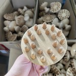 Wood Gua Sha Massager Supplier - Handheld Scraping Board