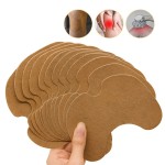 Detox Foot Patch Supplier - Cleansing Feet Ginger Salt