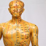 Acupuncture Model Supplier - Pressure Point Meridians Manikin
